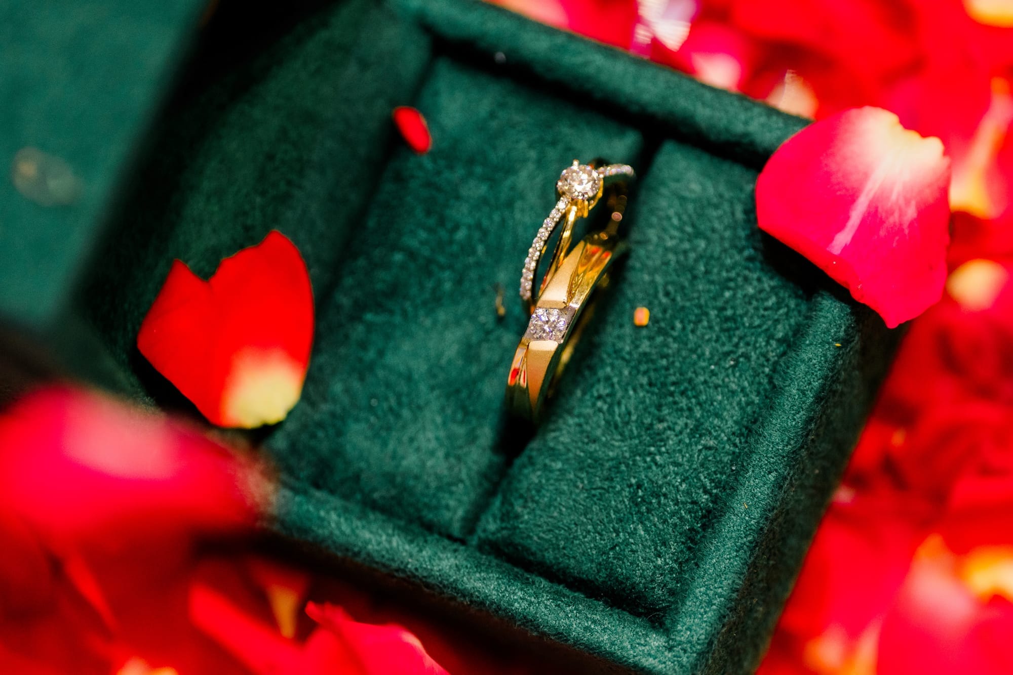The rings